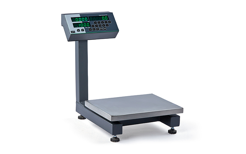 Standard weighing scale (TT-MS)_1